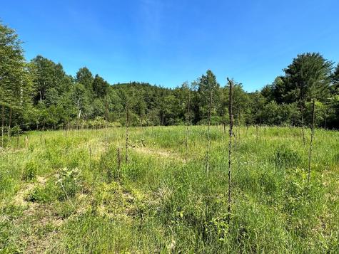 0 Crowningshield Way (Lot #3) Jay NY 12941