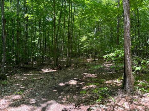 0 Flat Rock Road Schuyler Falls NY 12962