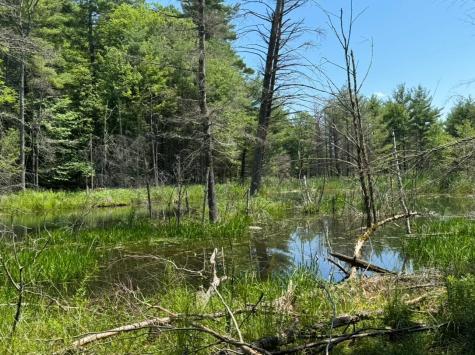 0 Flat Rock Road Schuyler Falls NY 12962