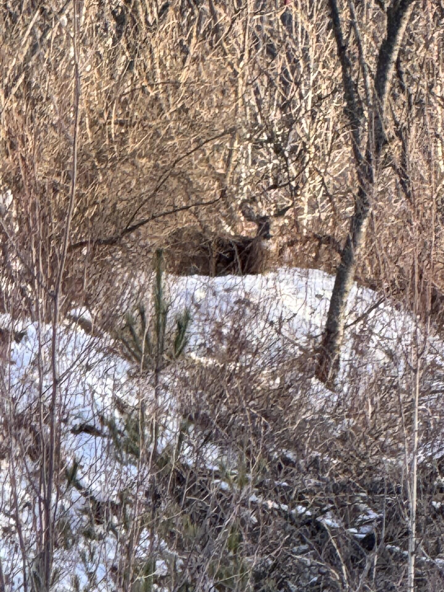 0 Flat Rock Road Schuyler Falls NY 12962