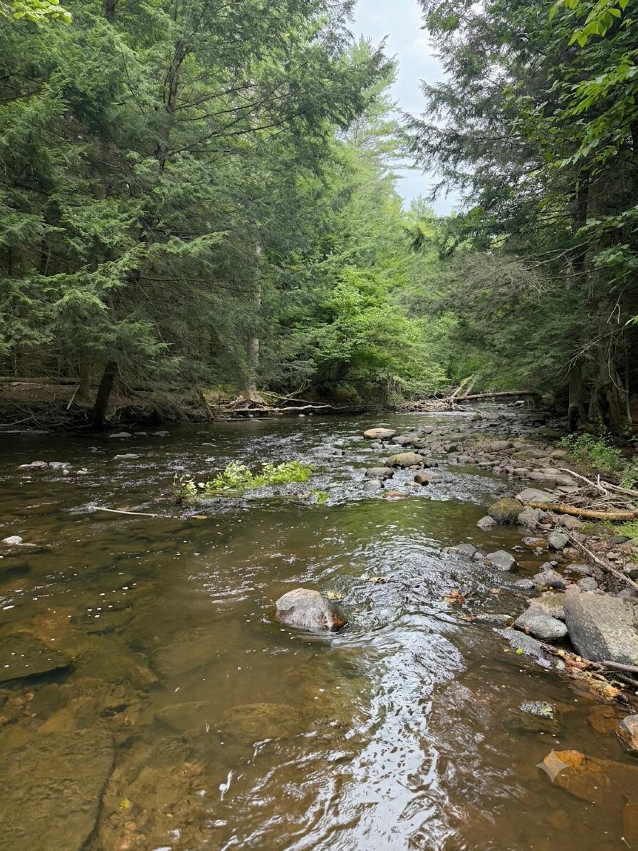 Lot 36.1 Military Turnpike Plattsburgh NY 12901