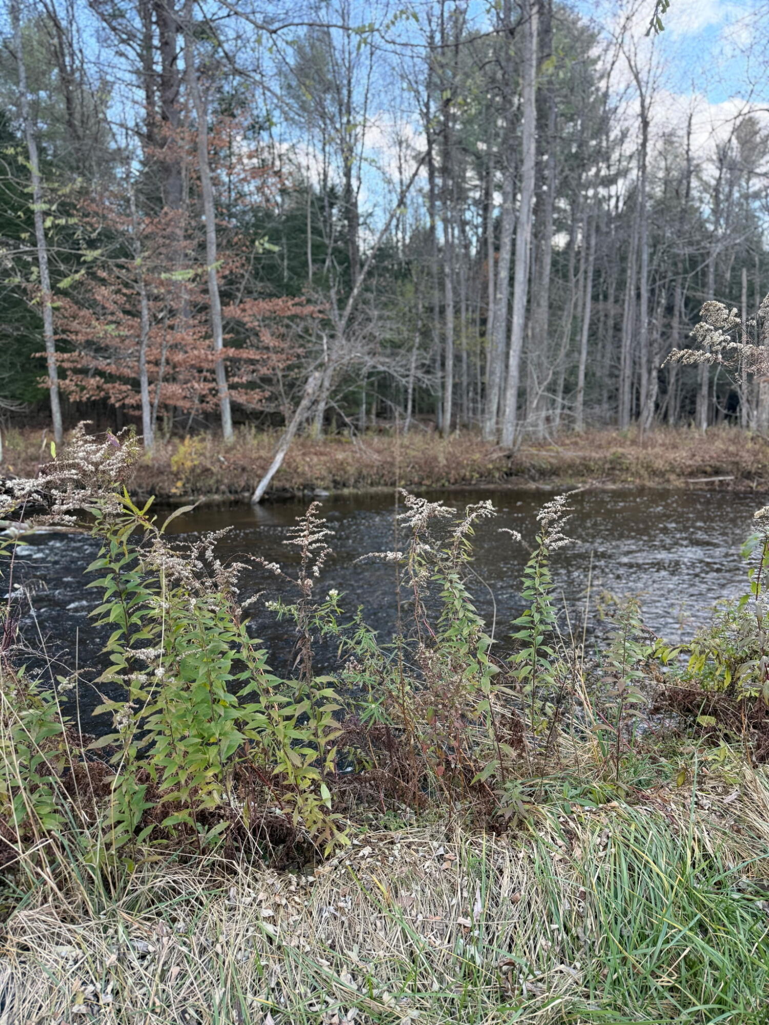 Lot 36.1 Military Turnpike Plattsburgh NY 12901