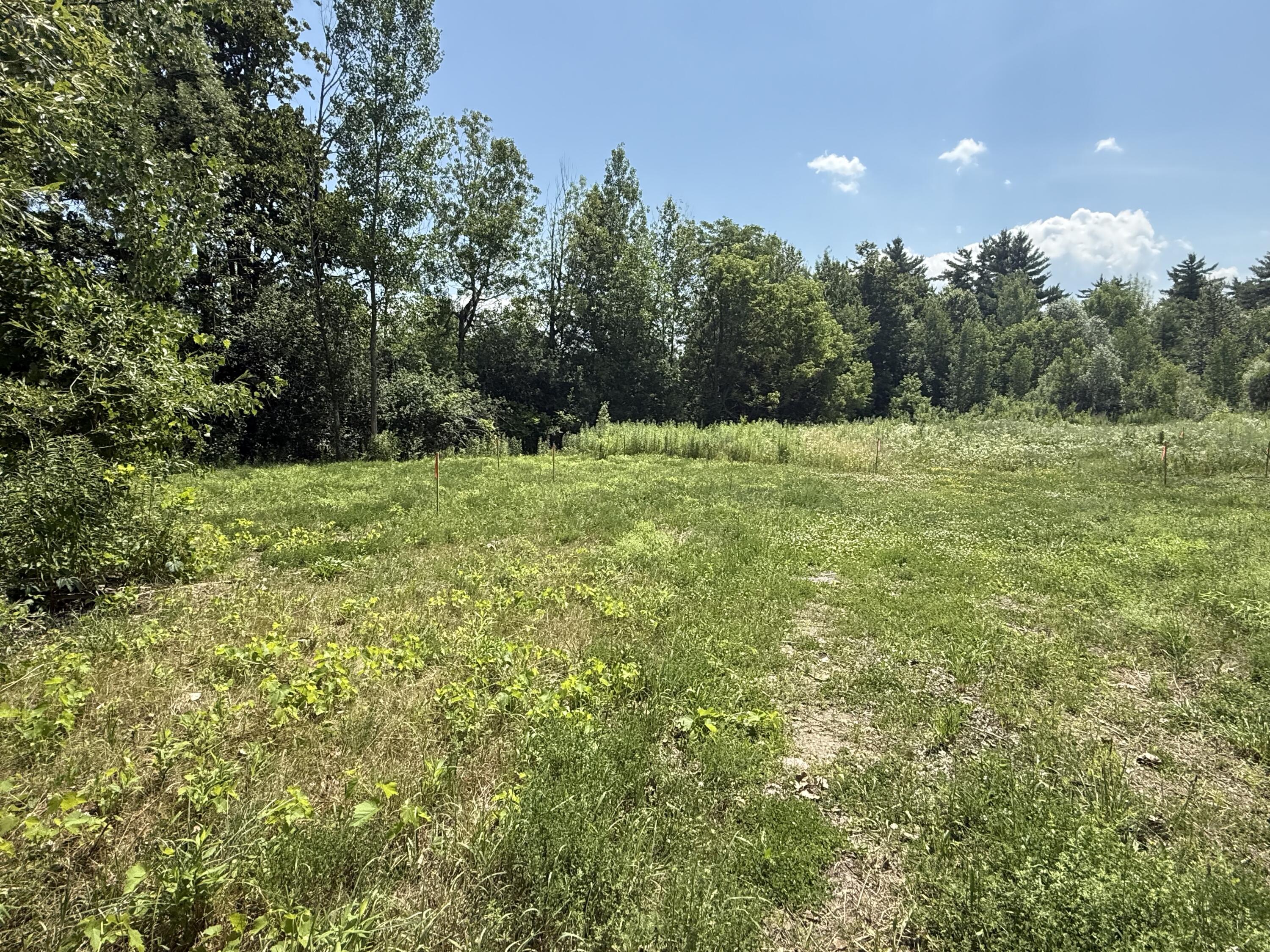 Morrisonville NY 12962
