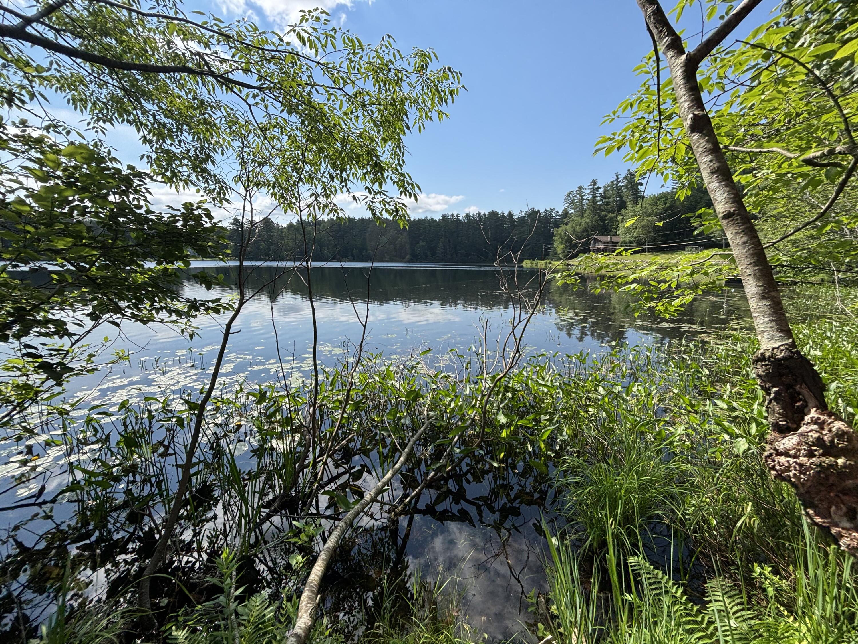 88 Forest Hill Avenue Saranac Lake NY 12983