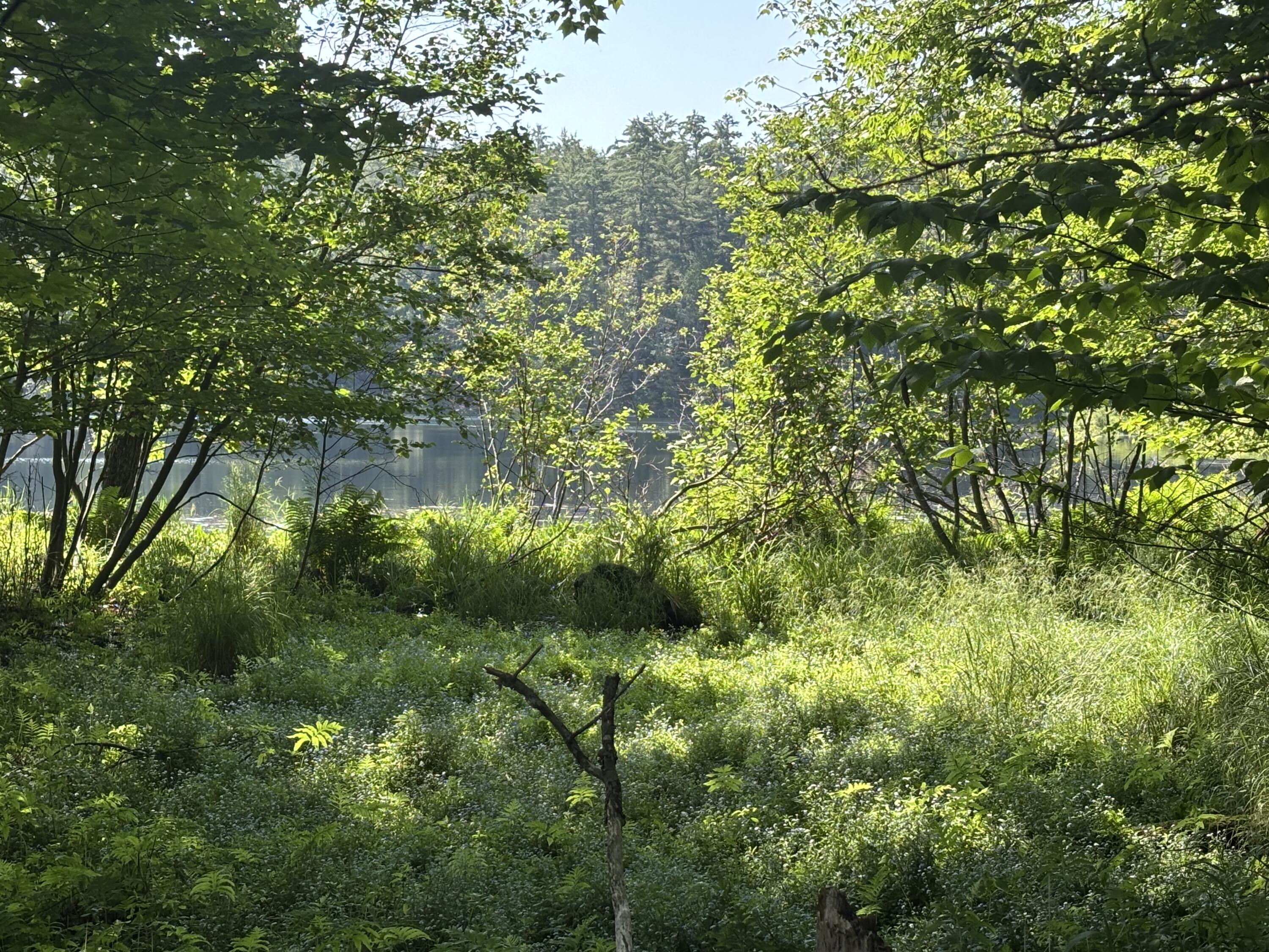 88 Forest Hill Avenue Saranac Lake NY 12983