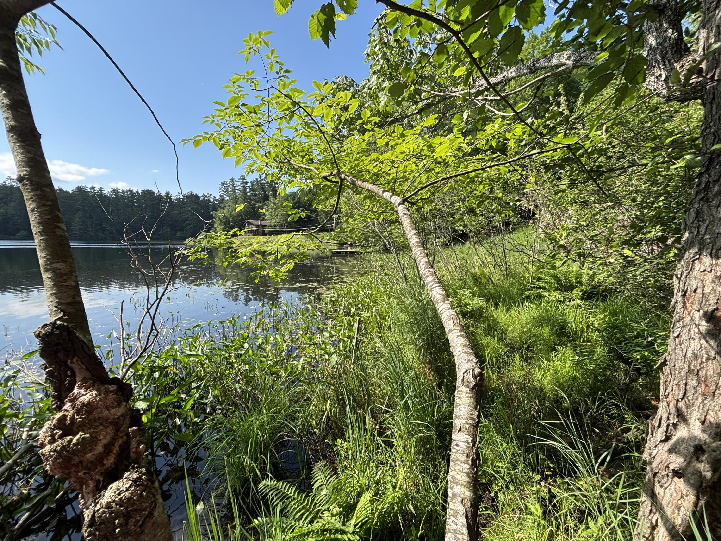 88 Forest Hill Avenue Saranac Lake NY 12983