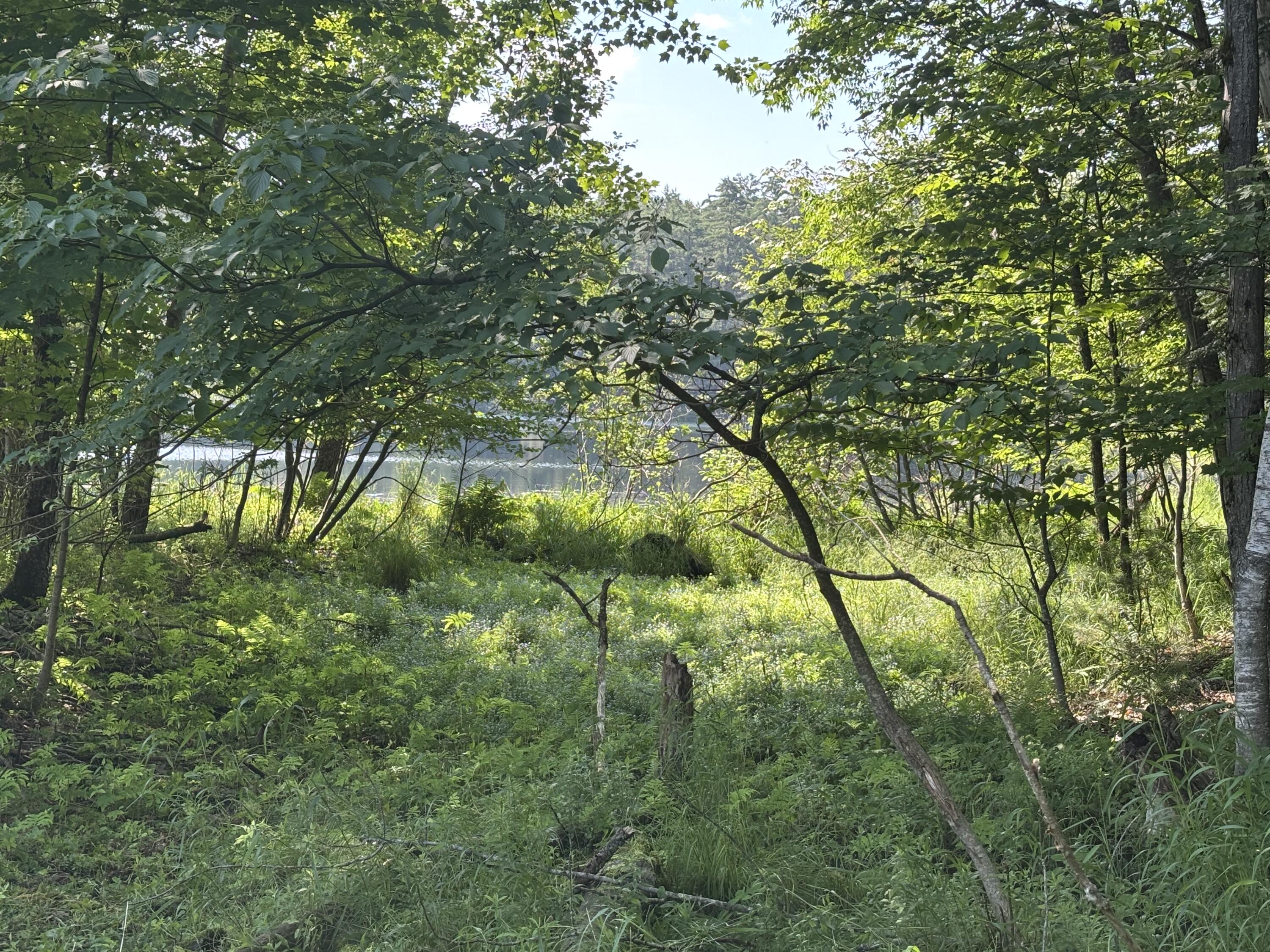 88 Forest Hill Avenue Saranac Lake NY 12983