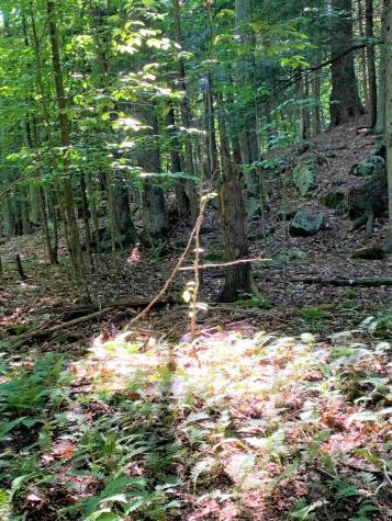 190 Kiwassa Road Saranac Lake NY 12983