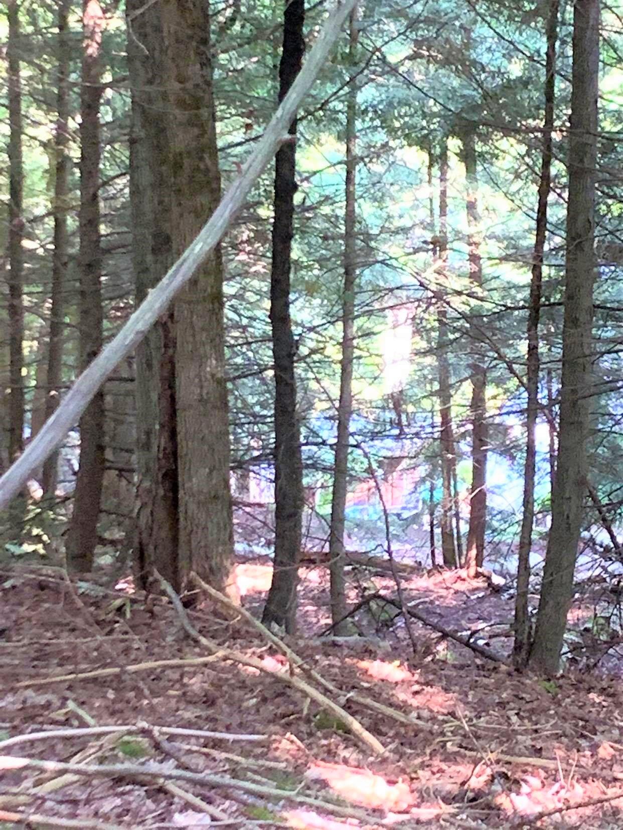190 Kiwassa Road Saranac Lake NY 12983