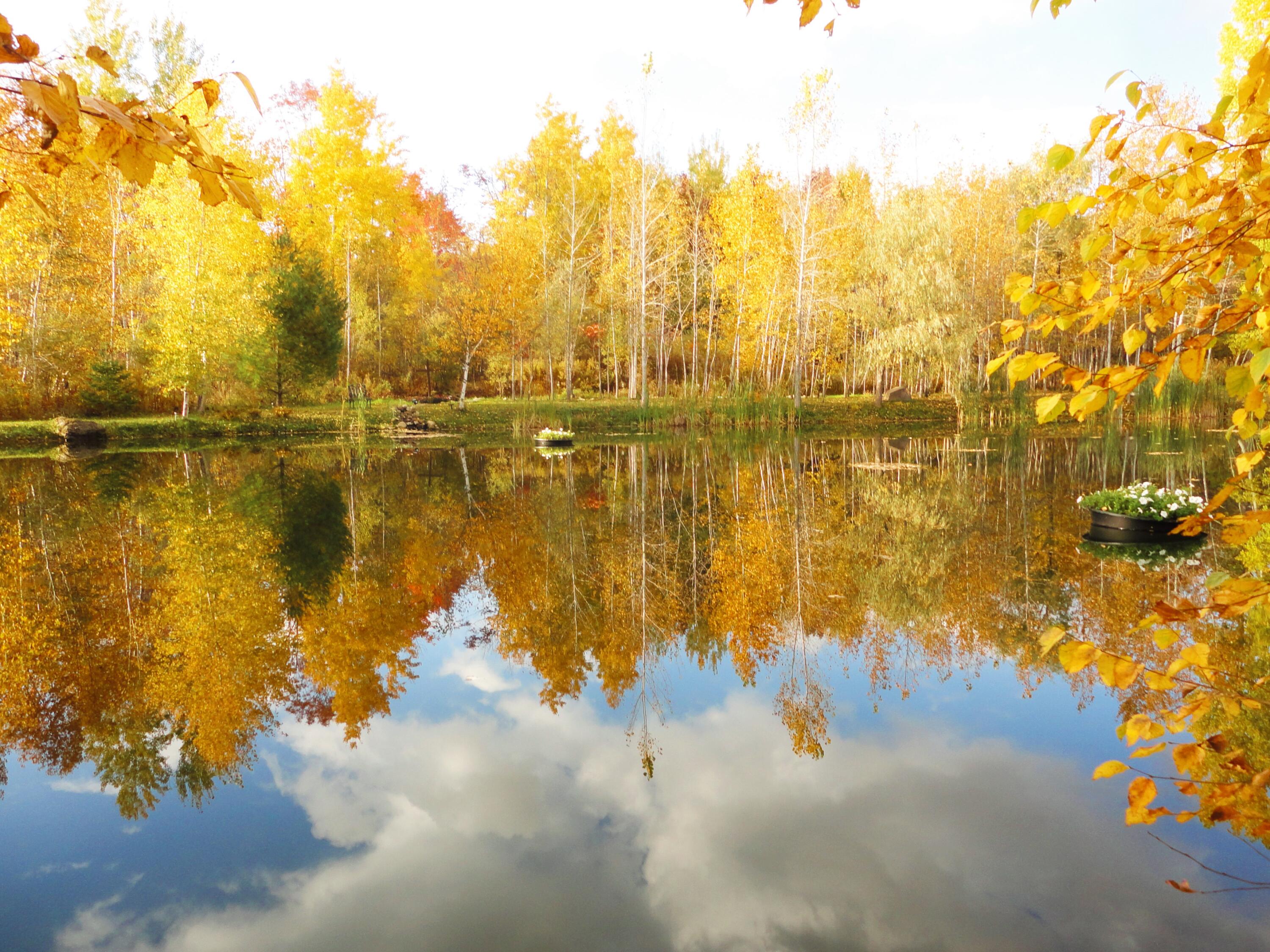 0 Overlook Drive Saranac NY 12981