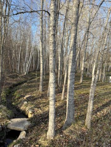 0 Overlook Drive Saranac NY 12981