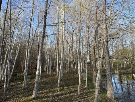 0 Overlook Drive Saranac NY 12981