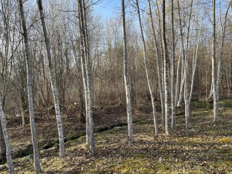 0 Overlook Drive Saranac NY 12981