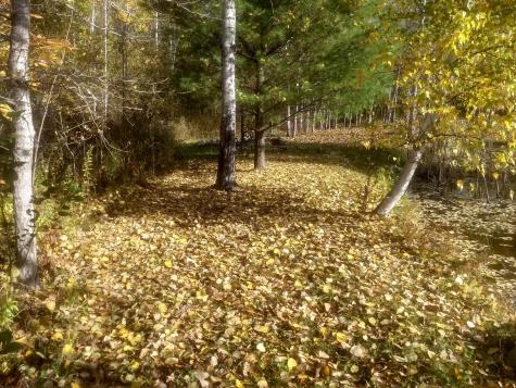 0 Overlook Drive Saranac NY 12981