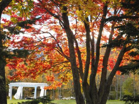 0 Overlook Drive Saranac NY 12981