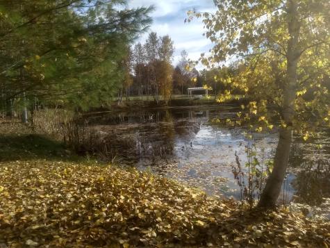 0 Overlook Drive Saranac NY 12981