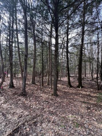 Lot # 3 Commons Road Chateaugay NY 12920