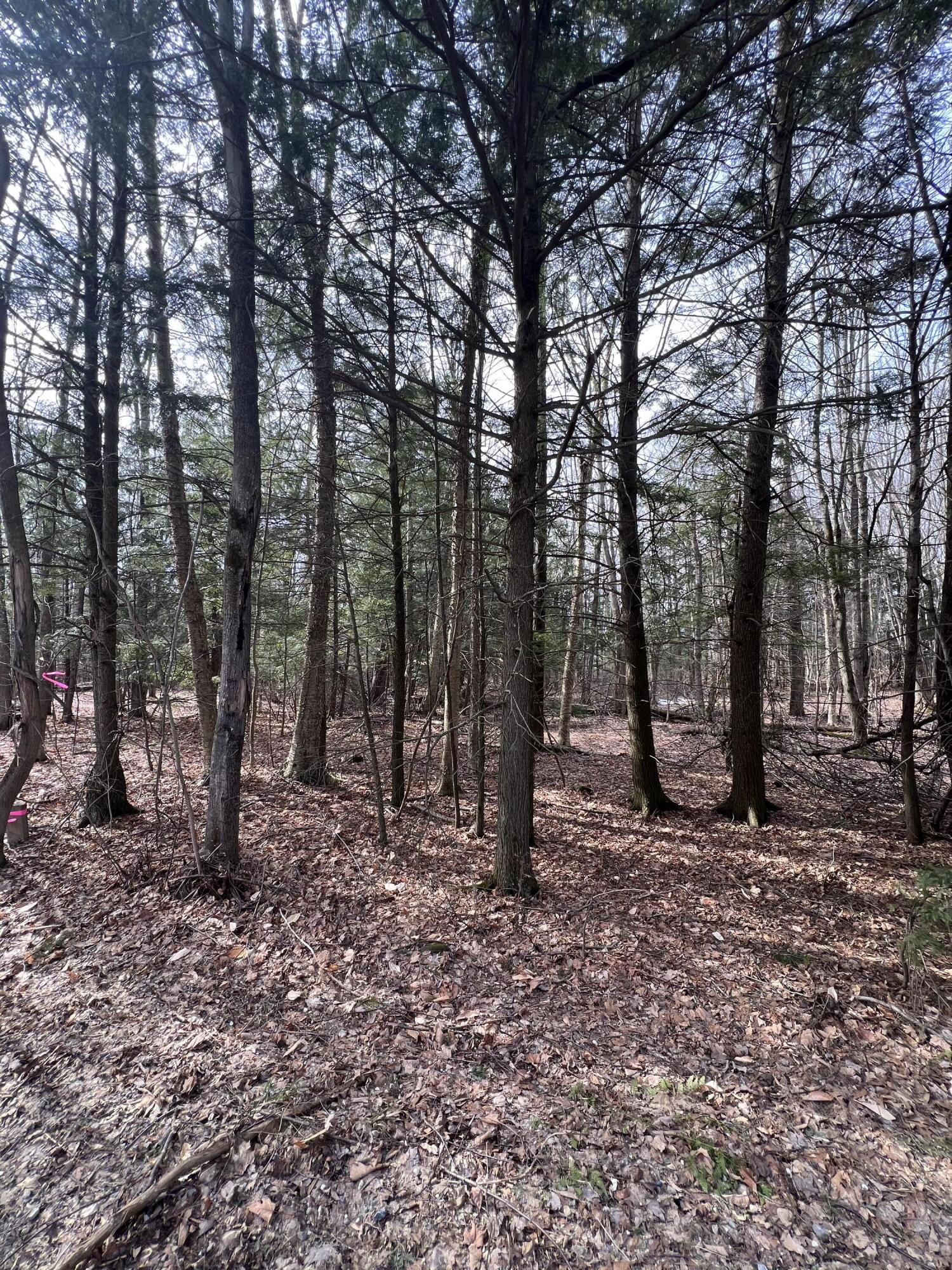Lot # 3 Commons Road Chateaugay NY 12920