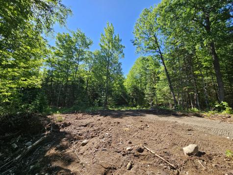 62 Maple Ridge Way Keene NY 12942