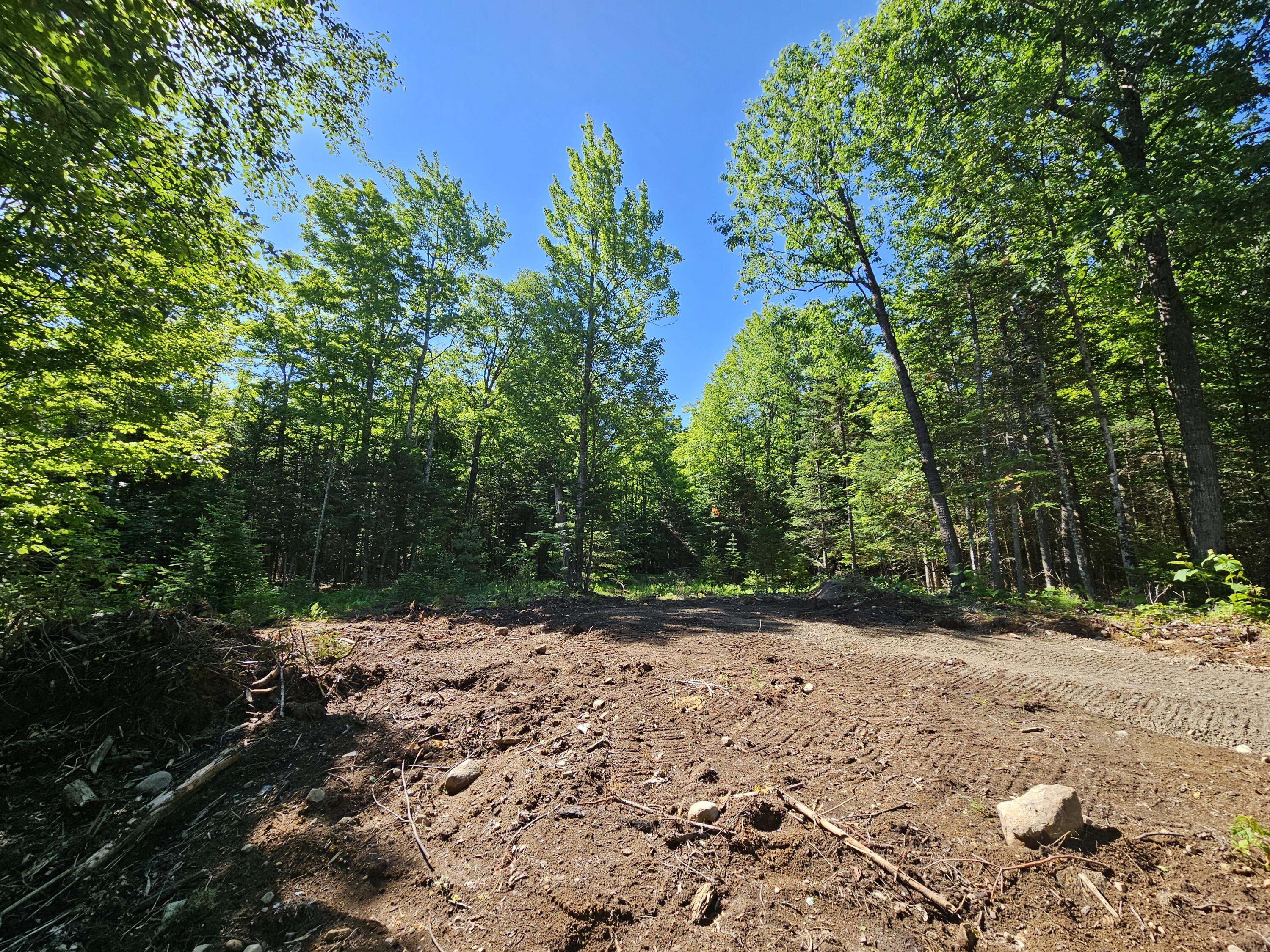 62 Maple Ridge Way Keene NY 12942