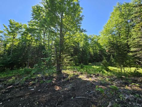 62 Maple Ridge Way Keene NY 12942