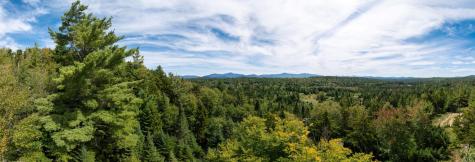 25 Jaelyn Way Vermontville NY 12989