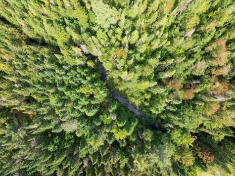 28 Jaelyn Way Vermontville NY 12989