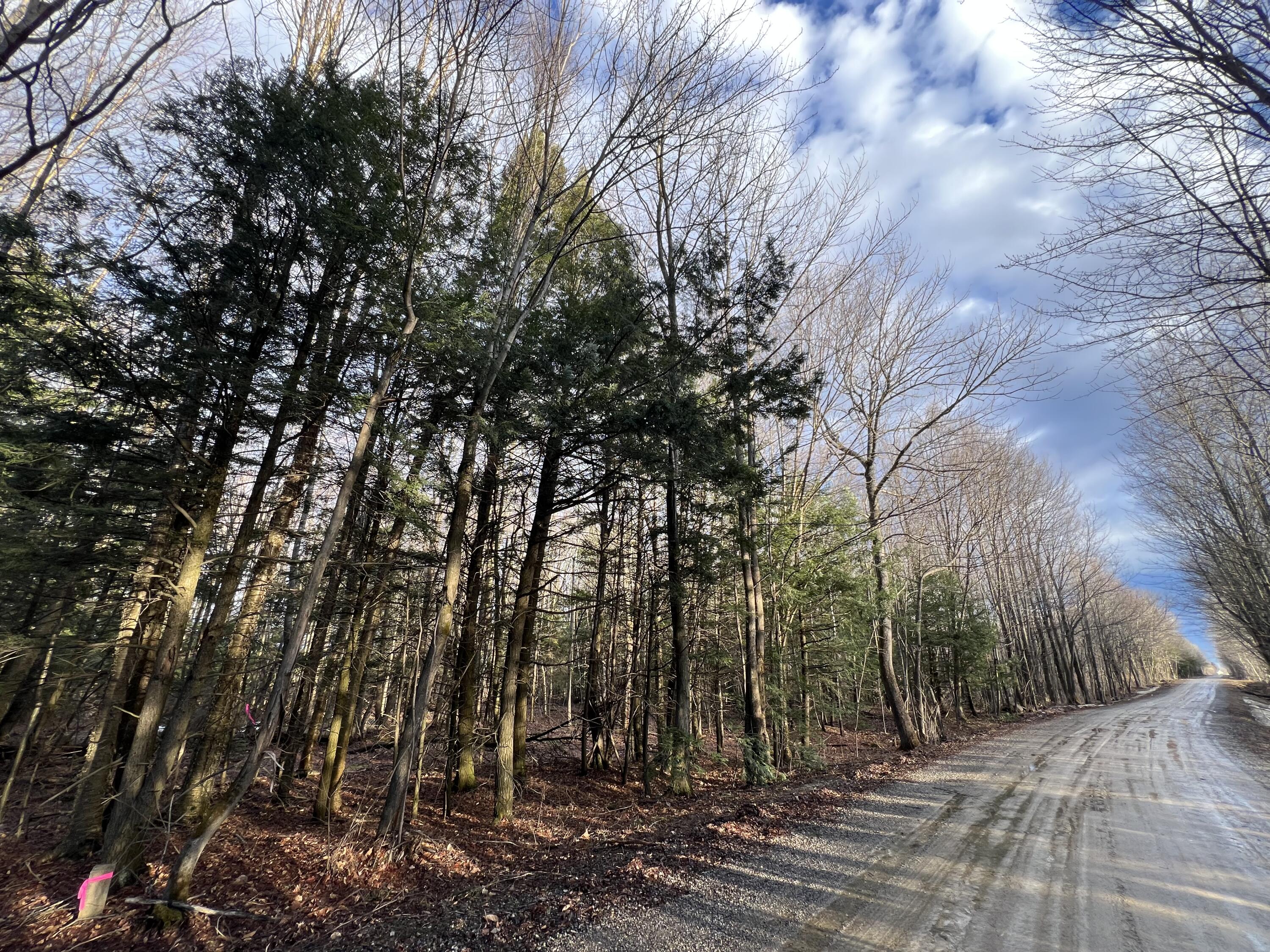 Lot # 1 Commons Road Chateaugay NY 12920