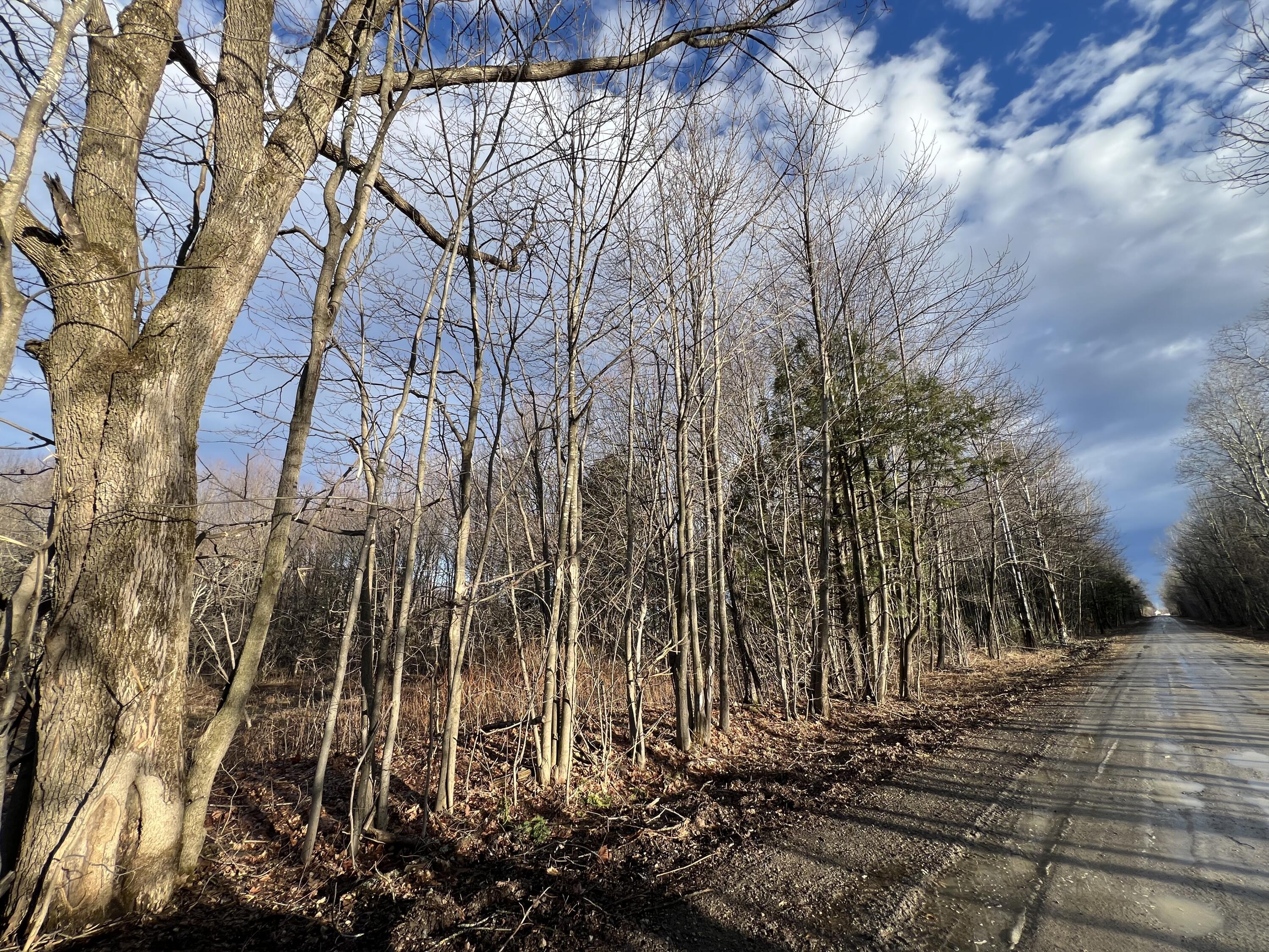 Lot # 1 Commons Road Chateaugay NY 12920