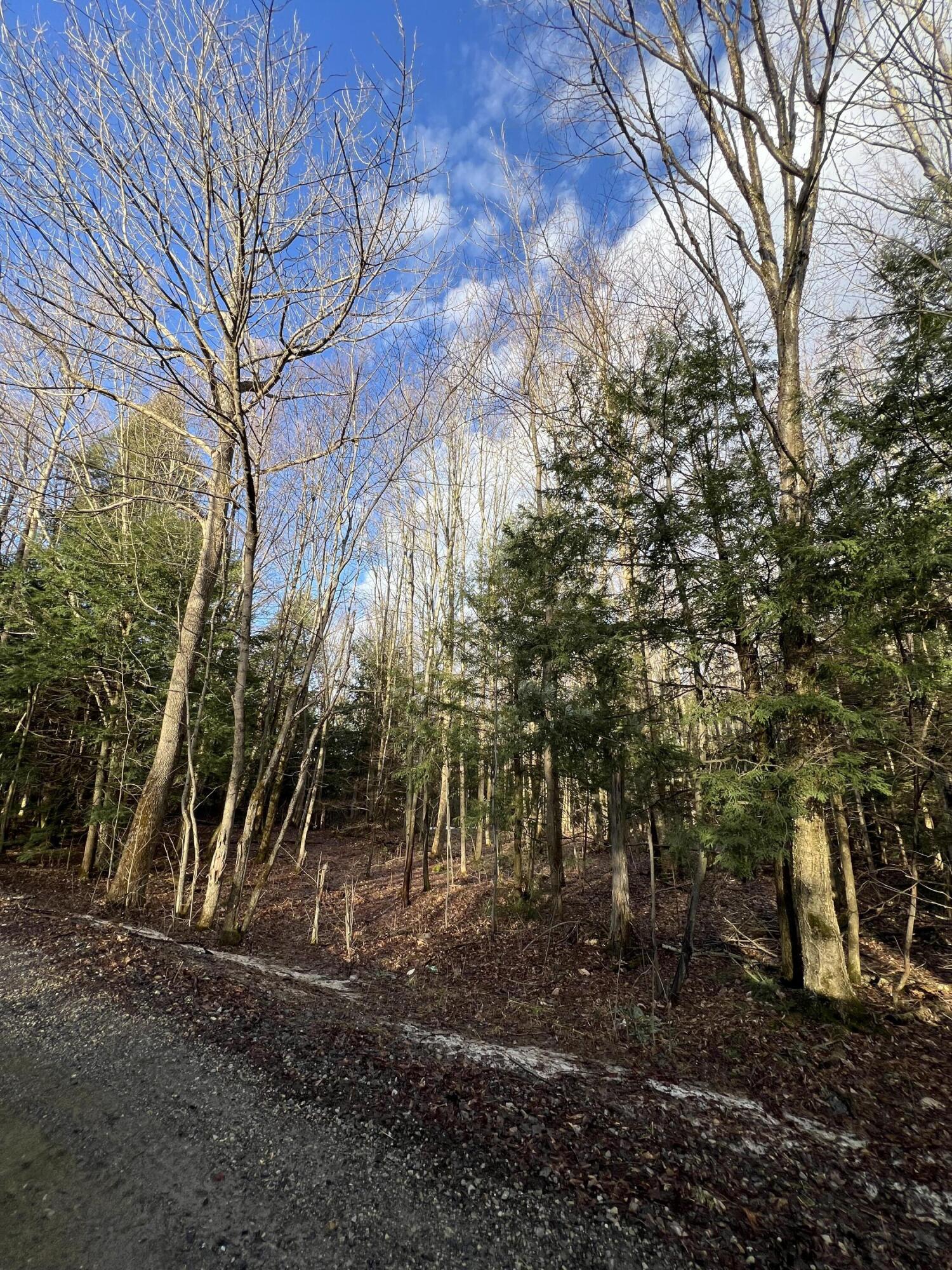 Lot # 1 Commons Road Chateaugay NY 12920