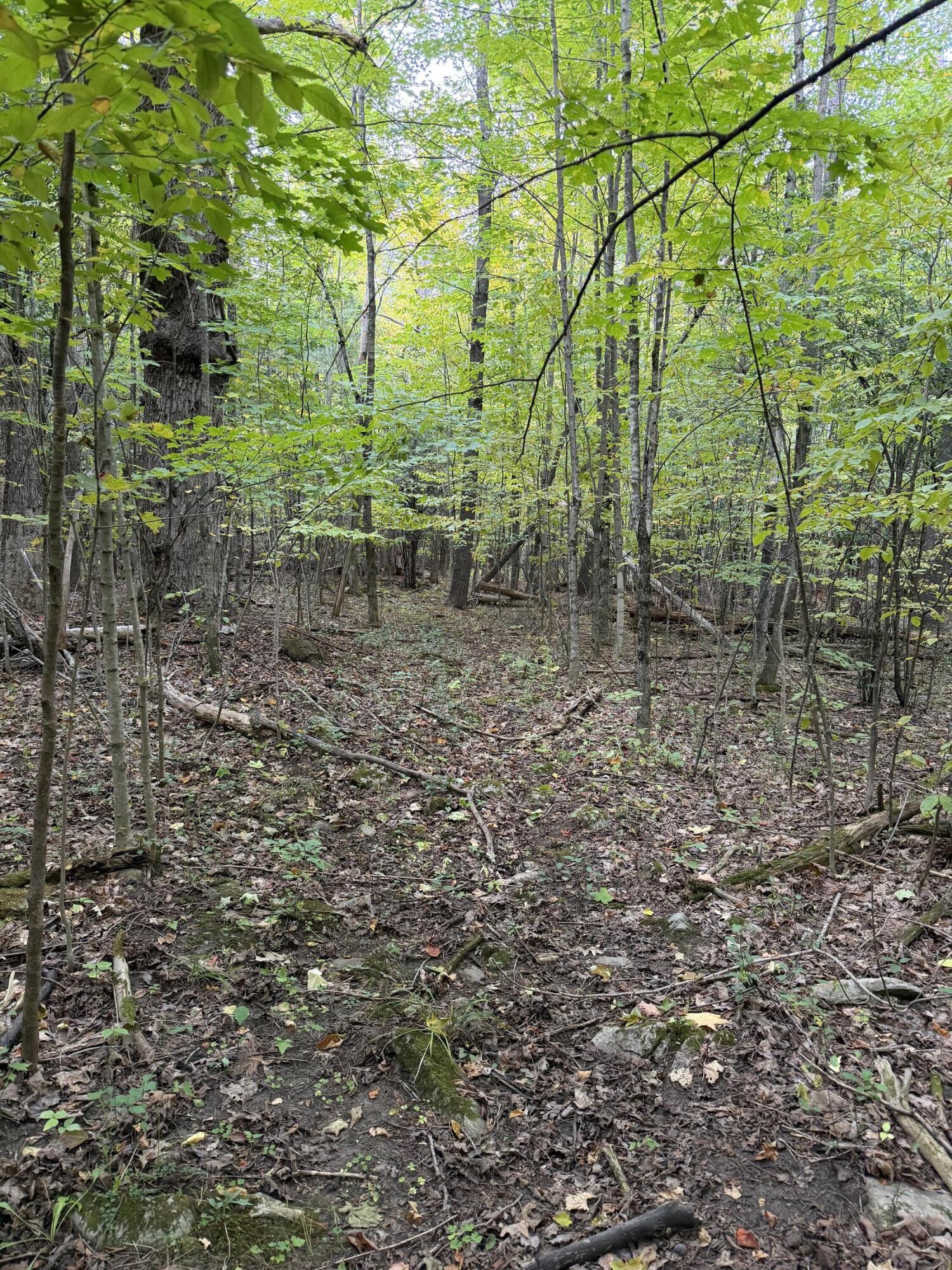 0 Jersey Swamp Road Morrisonville NY 12962