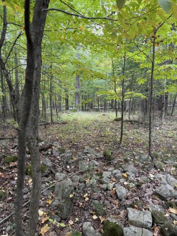 0 Jersey Swamp Road Morrisonville NY 12962
