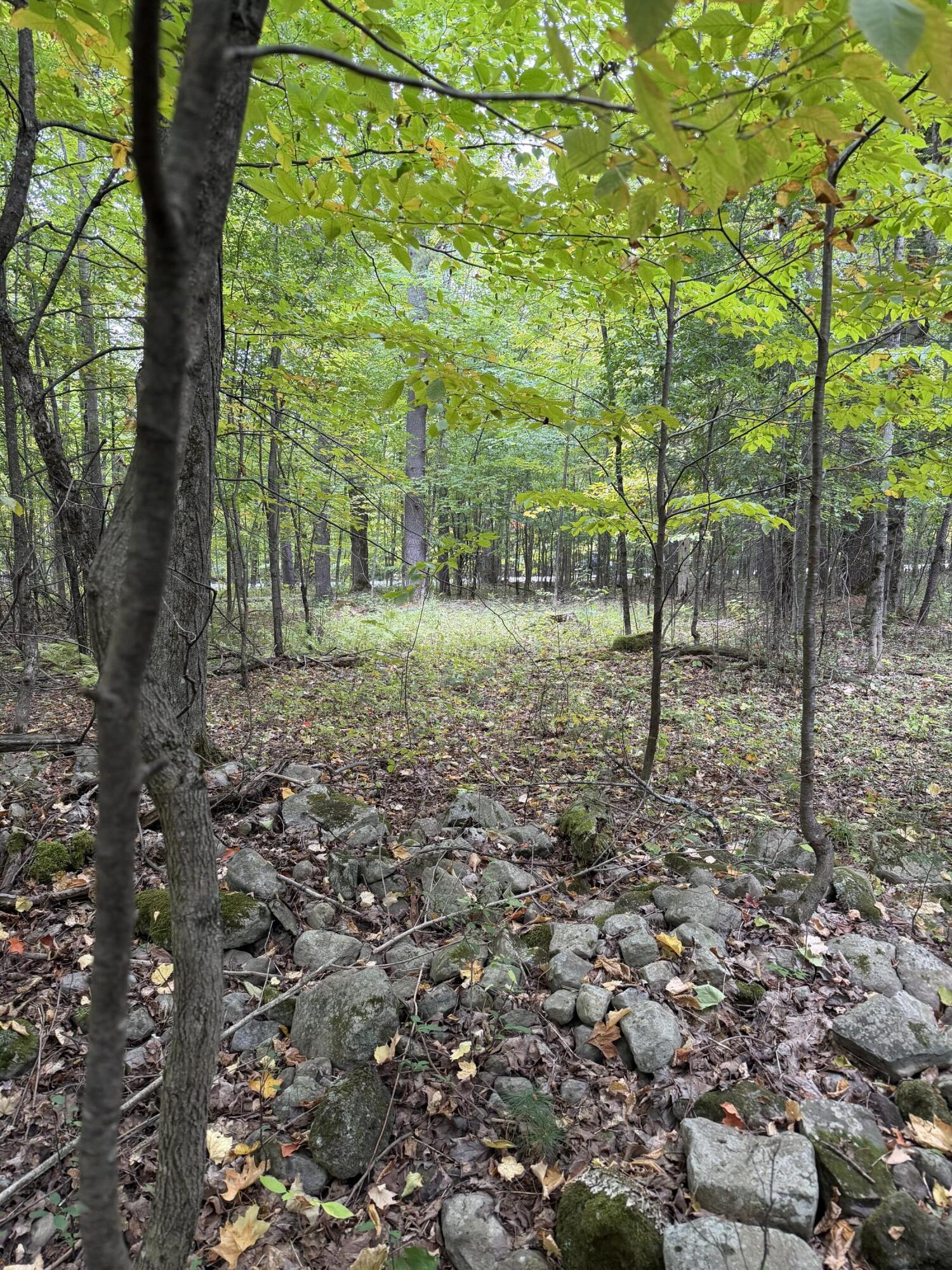 0 Jersey Swamp Road Morrisonville NY 12962