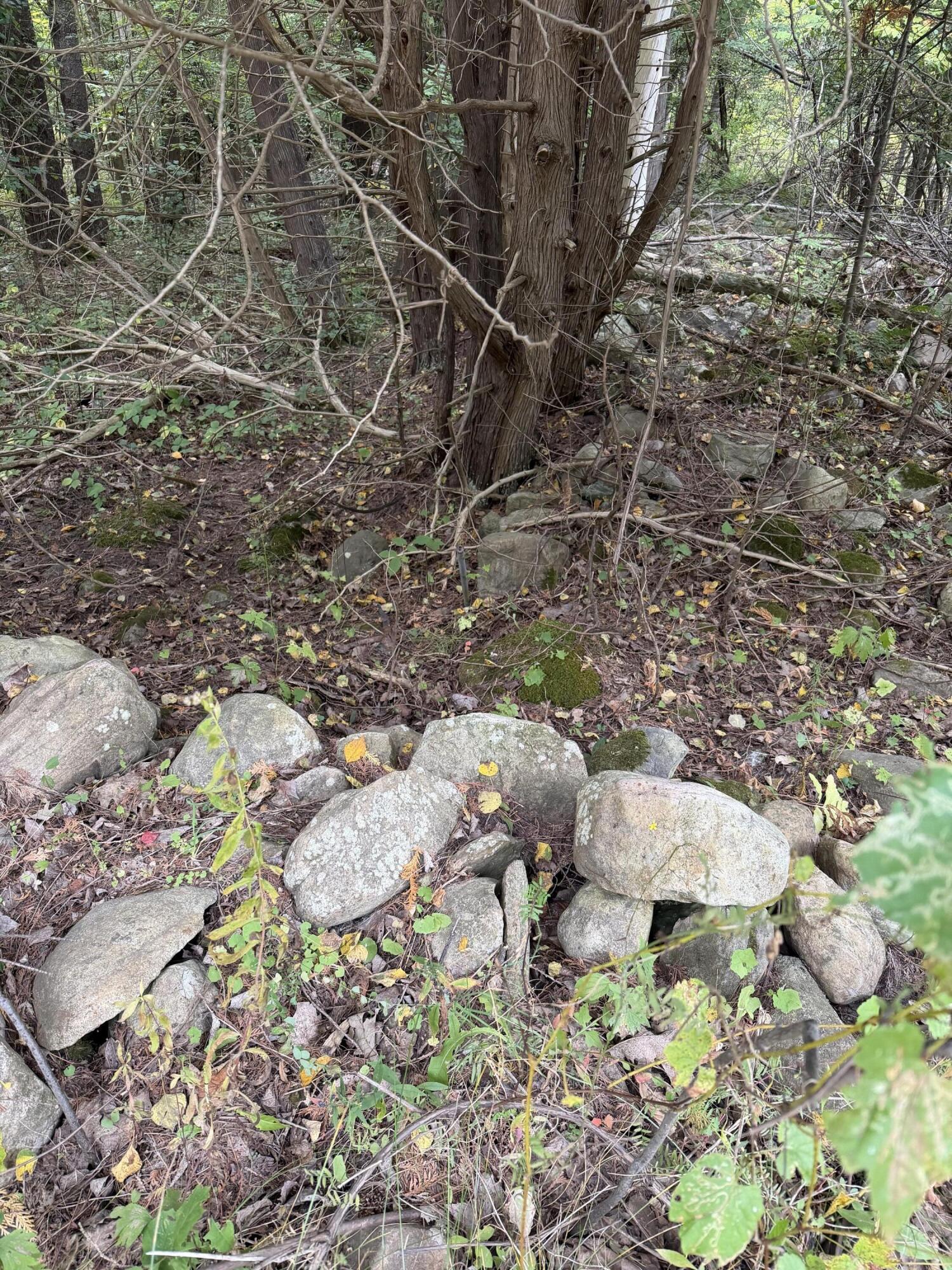 0 Jersey Swamp Road Morrisonville NY 12962