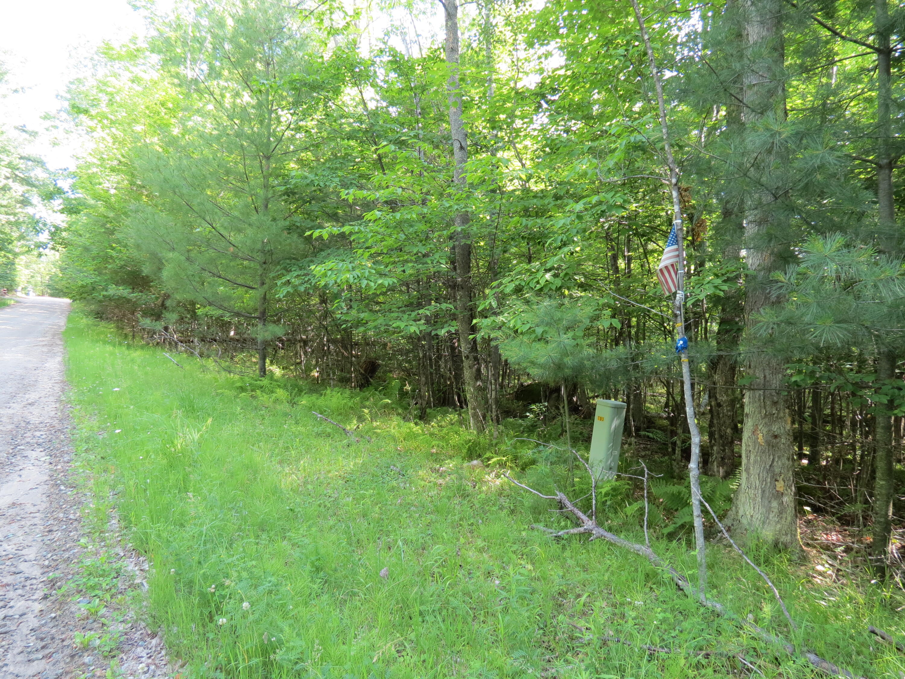 Lot 118 Tannenbaum Lane Jay NY 12941
