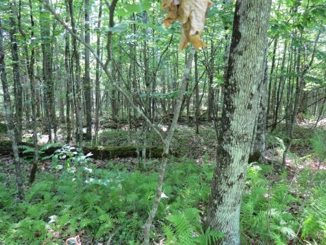 Lot 118 Tannenbaum Lane Jay NY 12941