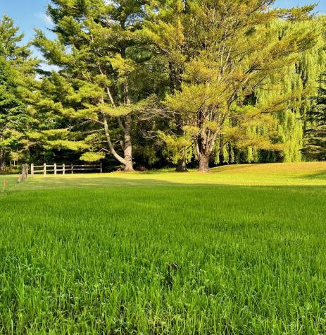 00 Frisbie Way Westport NY 12993