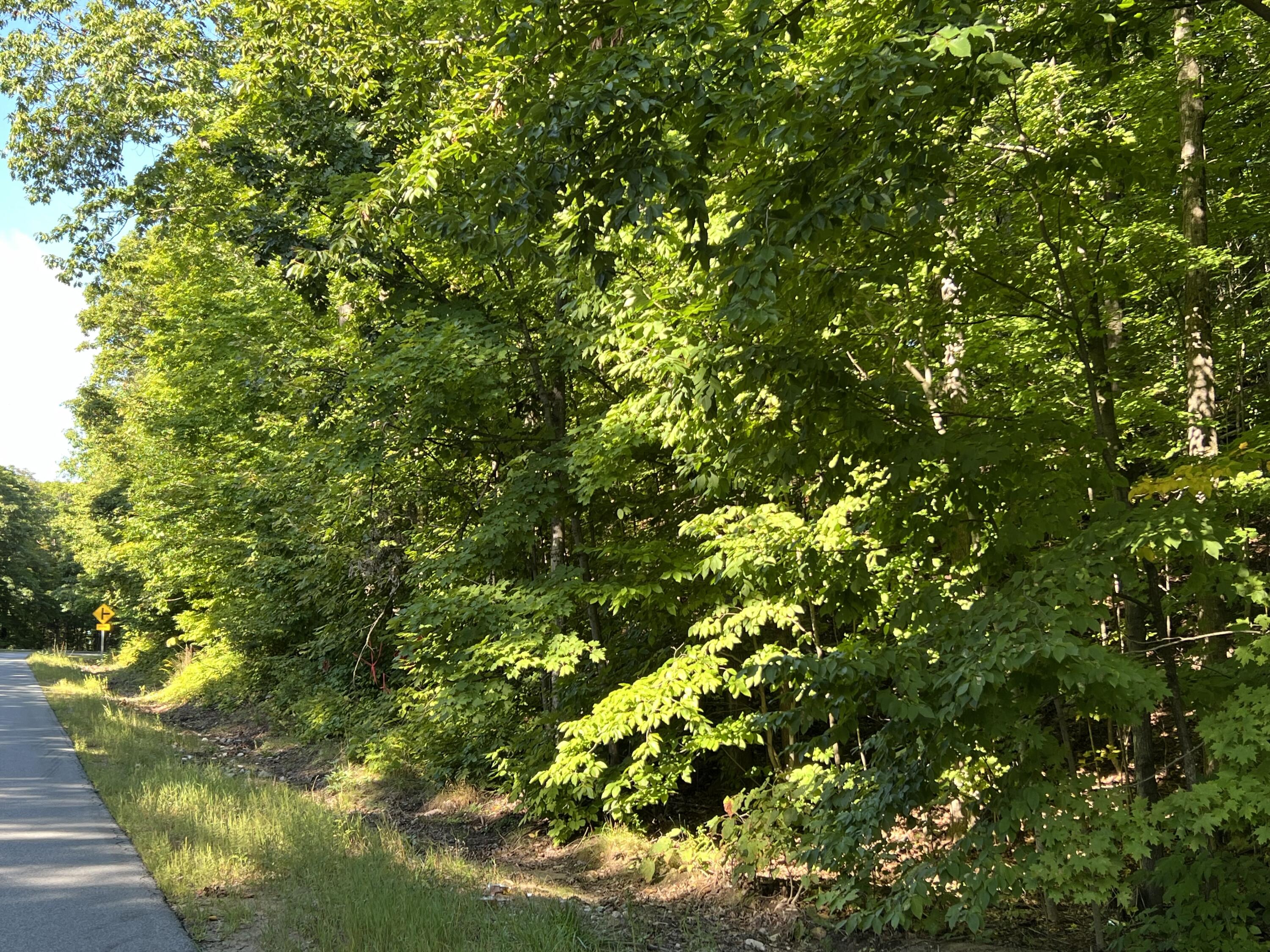 0 Jersey Swamp Road Morrisonville NY 12962