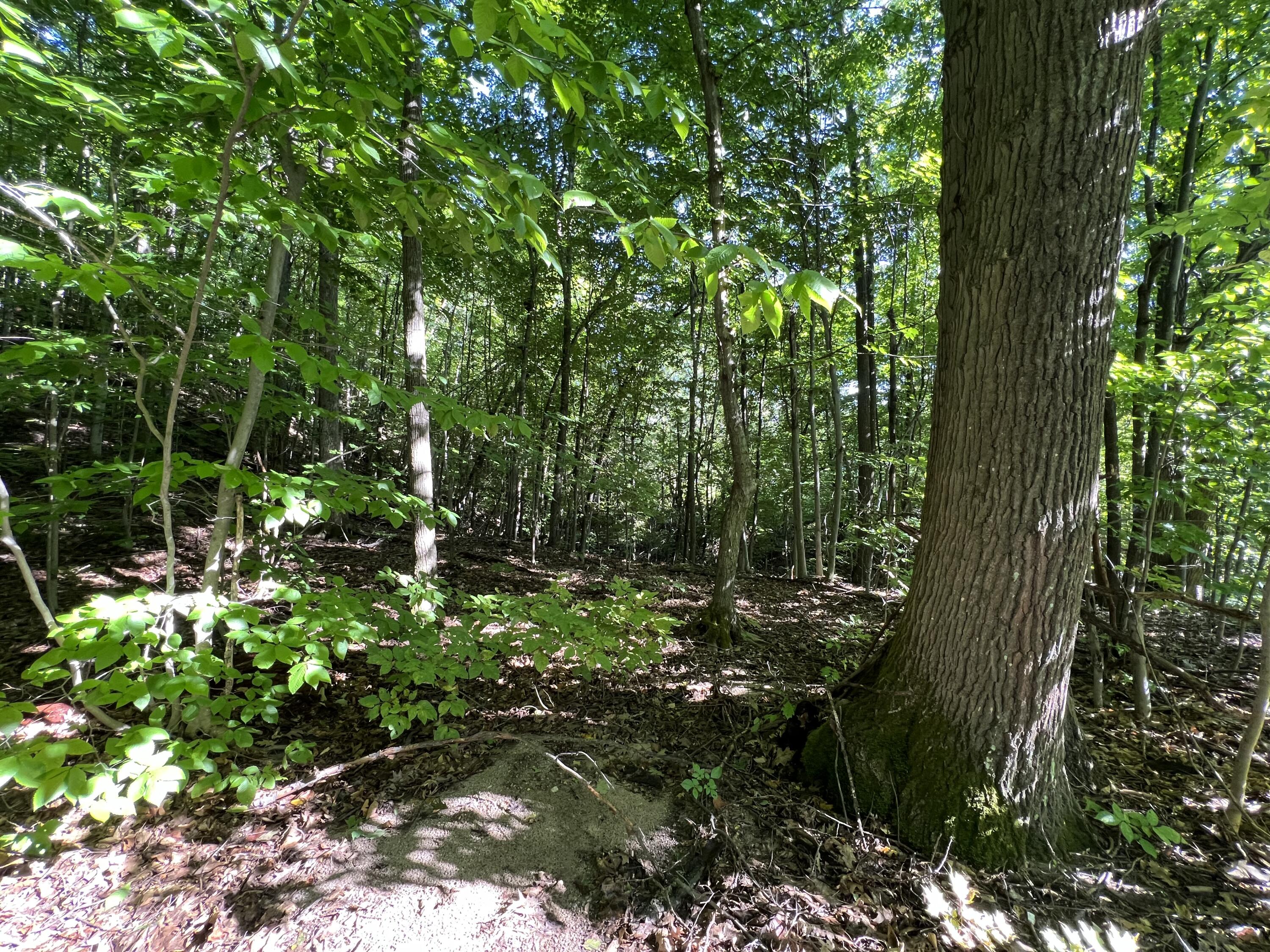 0 Jersey Swamp Road Morrisonville NY 12962