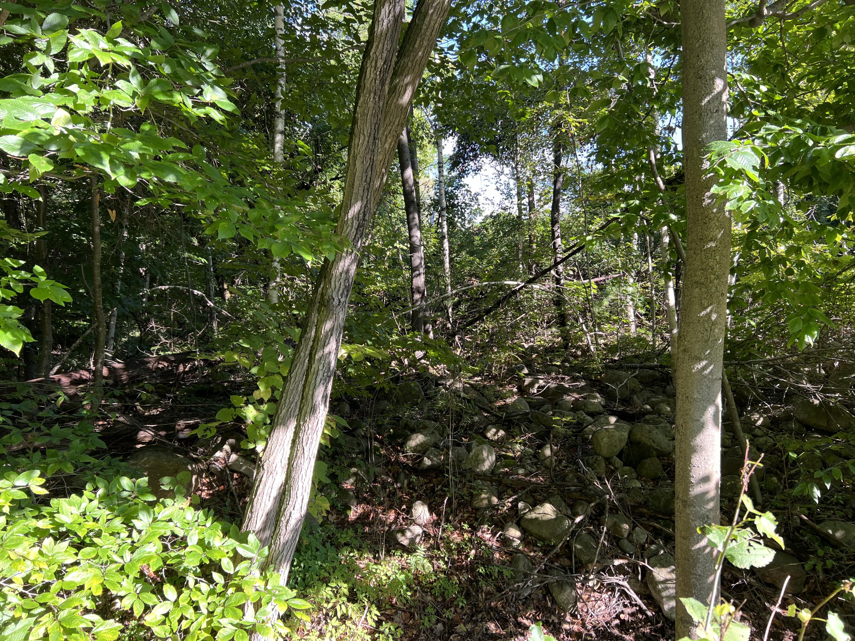 0 Jersey Swamp Road Morrisonville NY 12962