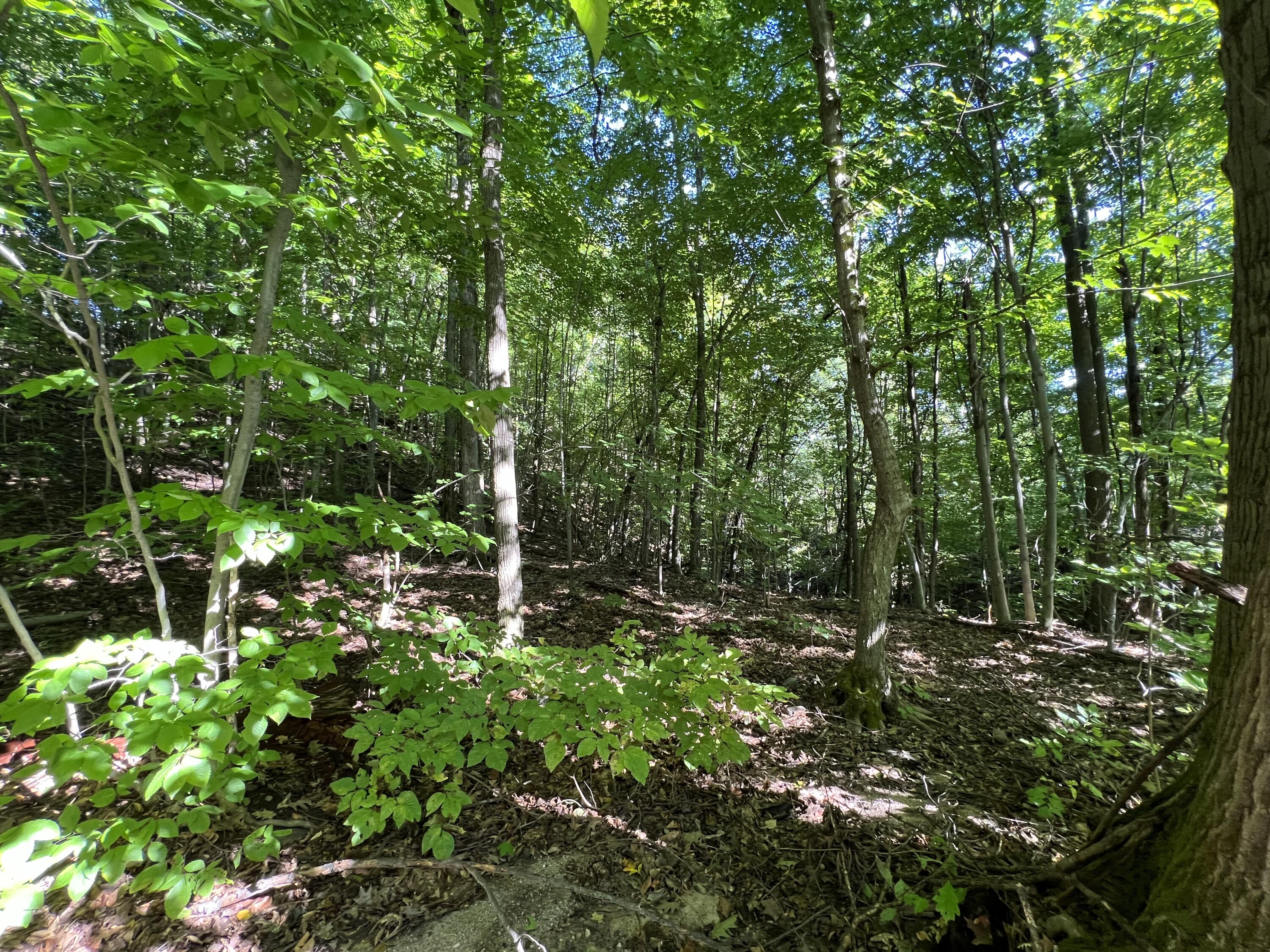 0 Jersey Swamp Road Morrisonville NY 12962