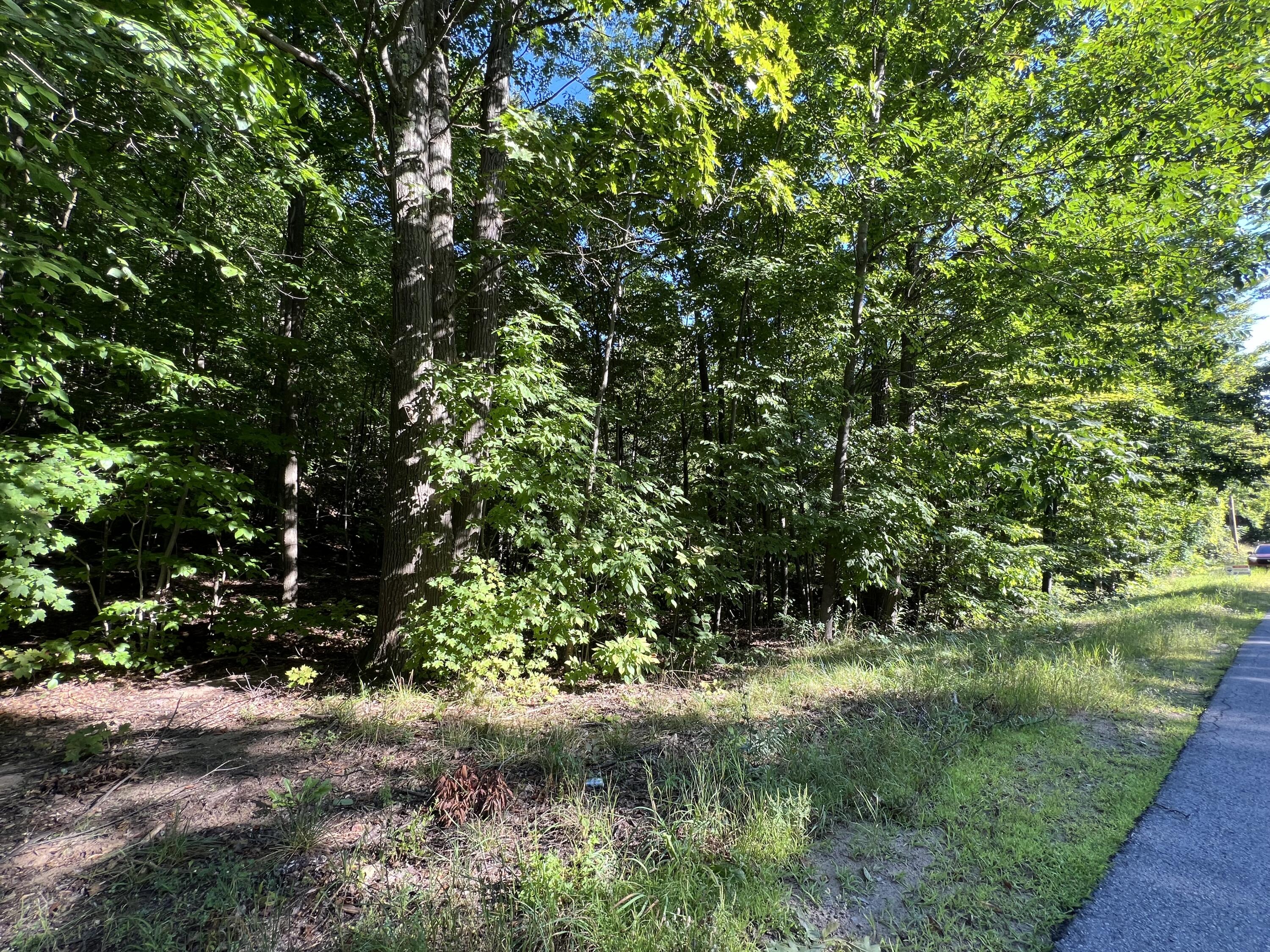 0 Jersey Swamp Road Morrisonville NY 12962