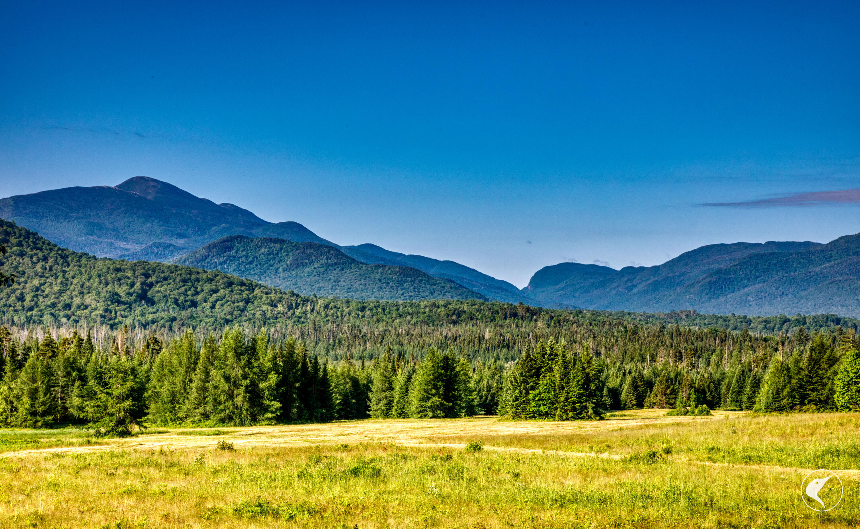 166 Far Horizon Drive Lake Placid NY 12946