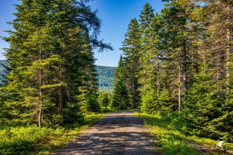 166 Far Horizon Drive Lake Placid NY 12946
