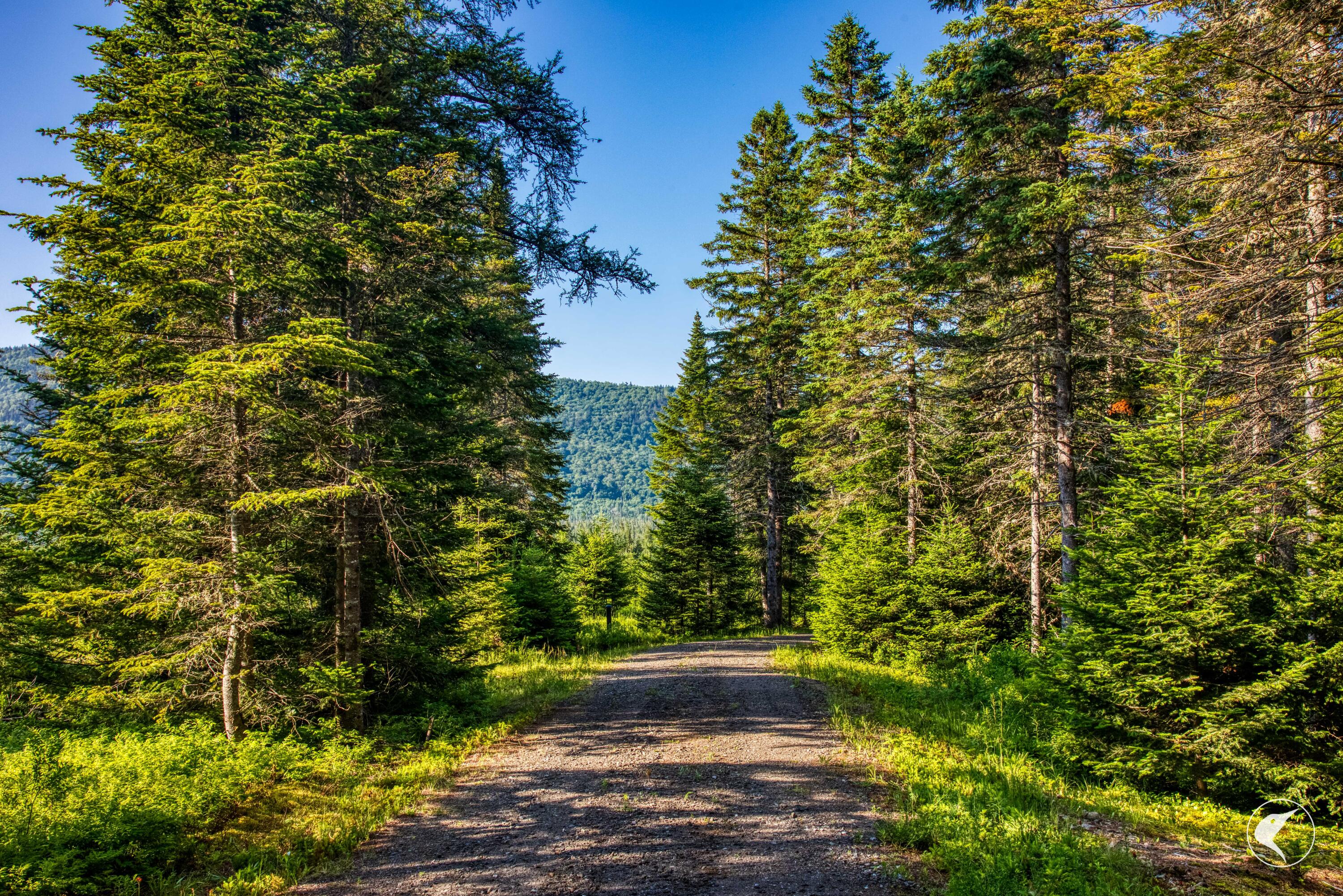 166 Far Horizon Drive Lake Placid NY 12946