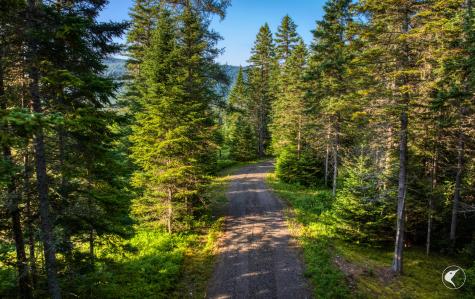 166 Far Horizon Drive Lake Placid NY 12946