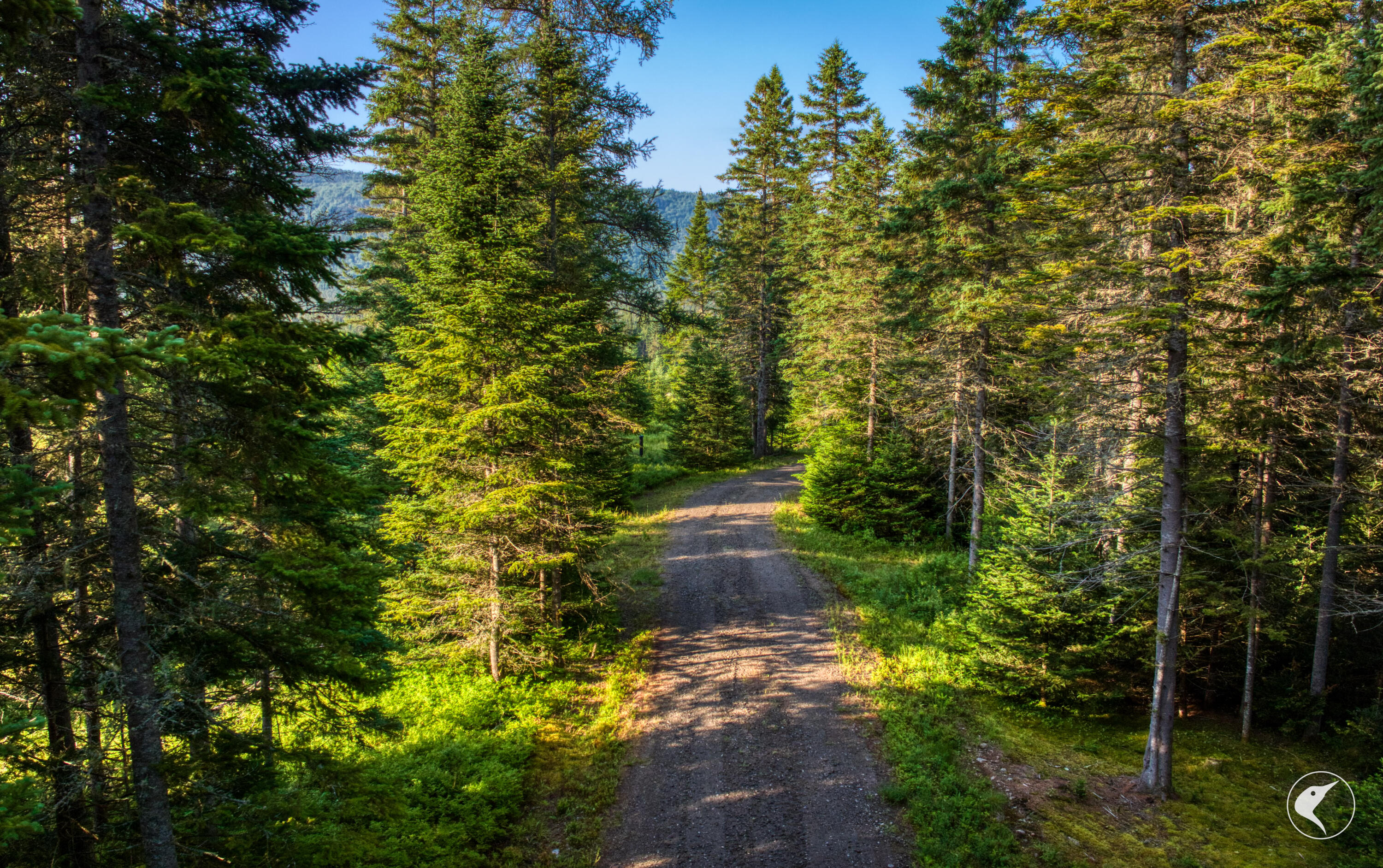 166 Far Horizon Drive Lake Placid NY 12946