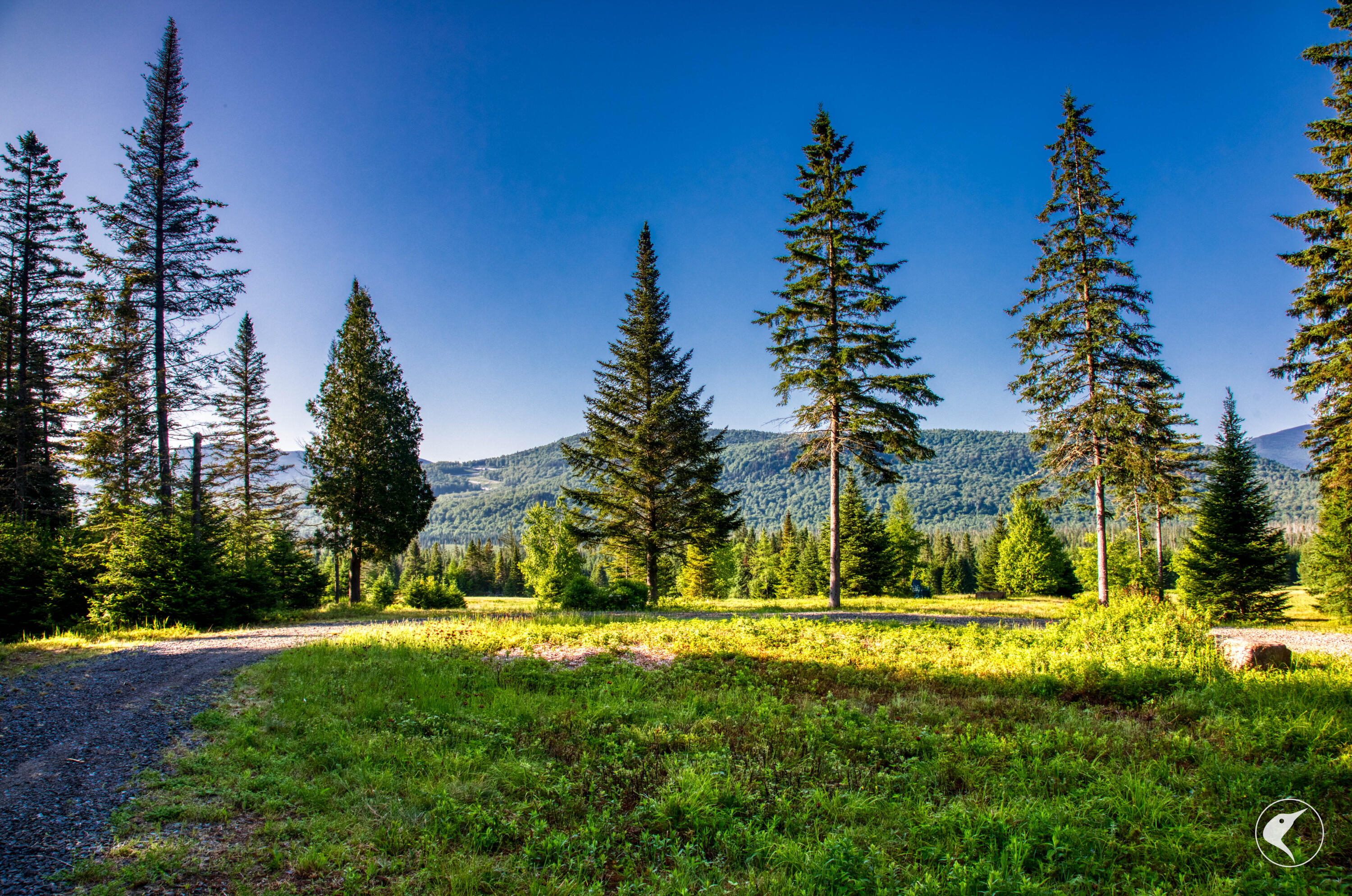 166 Far Horizon Drive Lake Placid NY 12946