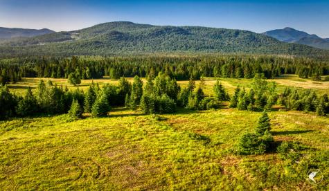 166 Far Horizon Drive Lake Placid NY 12946