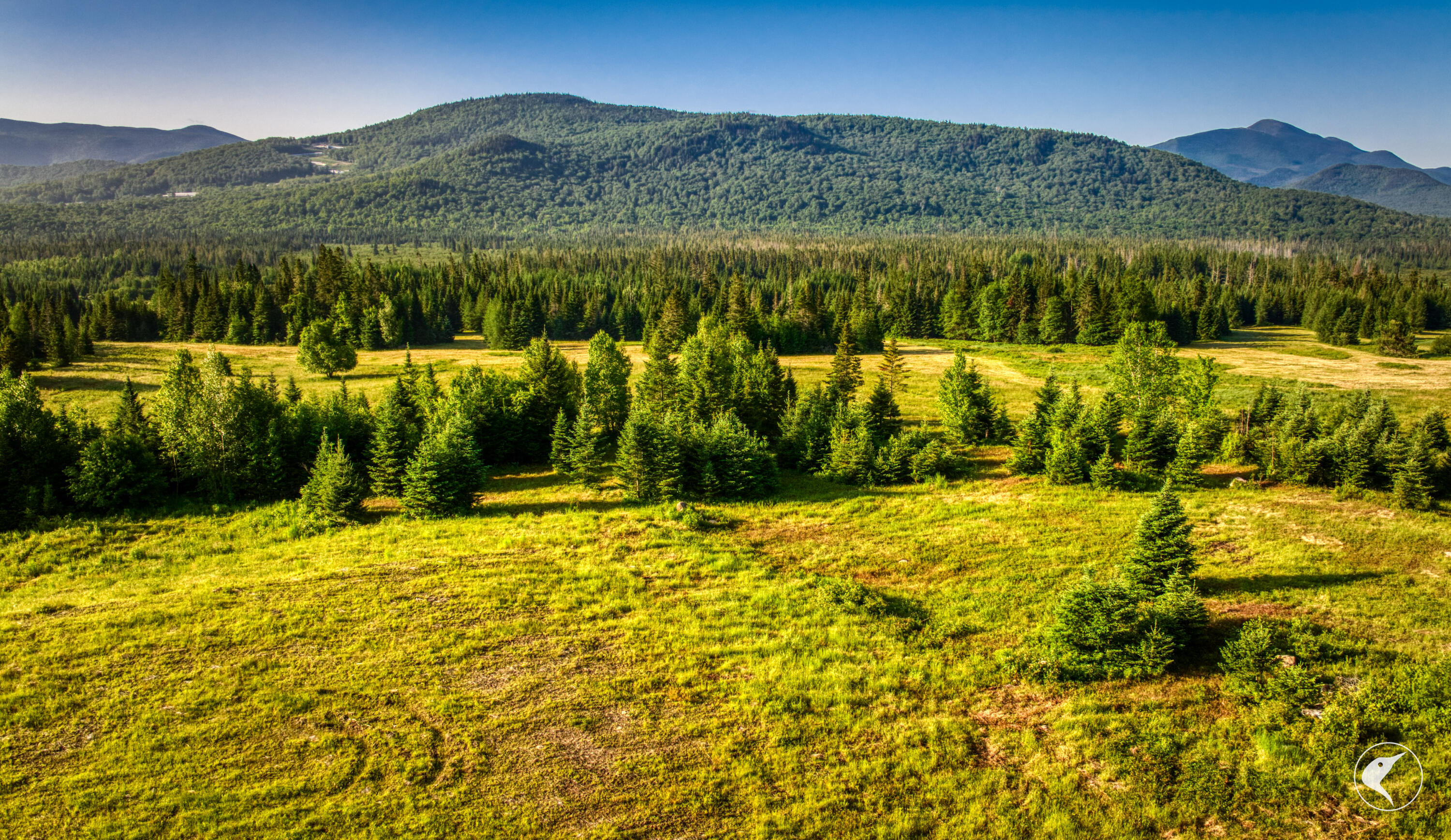 166 Far Horizon Drive Lake Placid NY 12946